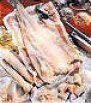 los-peces-y-nosotros